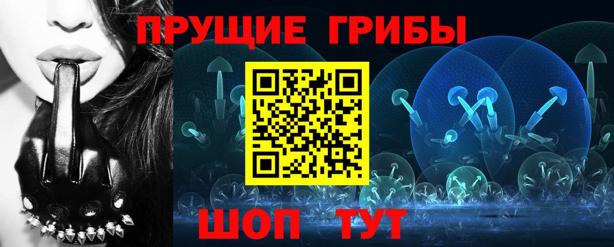 Богданович  Галлюциногенные грибы ЛСД  Вход с VPN 