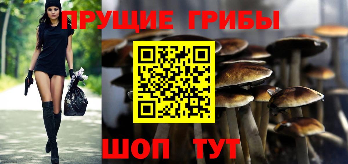 Галлюциногенные грибы Magic Shrooms Богданович