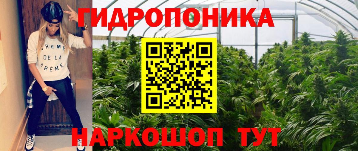 Каннабис гибрид Богданович